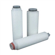 PTFE কার্তুজ ফিল্টার